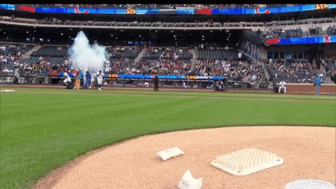 davyandrews giphyupload GIF