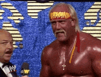 Hulk Hogan Sport GIF by WWE