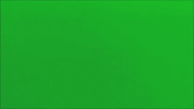 green screen wow GIF