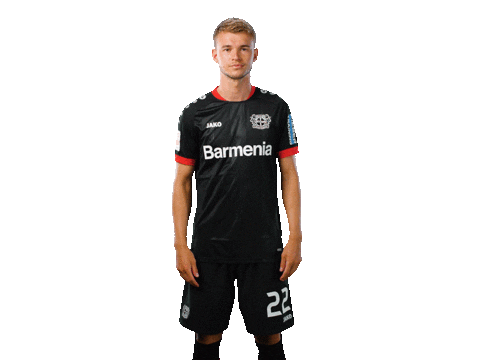 Bayer 04 Wtf Sticker by Bayer 04 Leverkusen