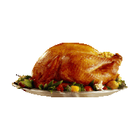 thanksgiving STICKER by imoji