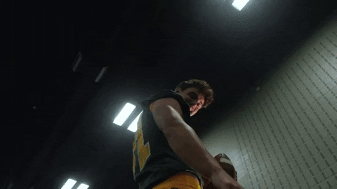 North Dakota State Bison GIF by NDSU Athletics