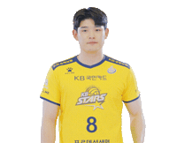 Kb스타즈 Sticker by KB STARS VOLLEYBALL CLUB