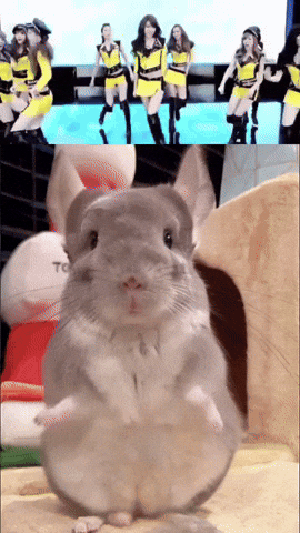 Taxi Sue GIF