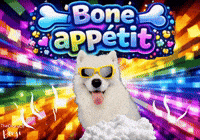 Meal Benji GIF