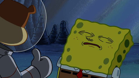 season 10 episode 3 GIF by SpongeBob SquarePants