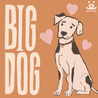 Dog Love GIF by Best Friends Animal Society