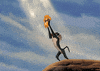 the lion king cat GIF