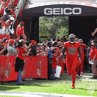 Regular Season Football GIF by NFL