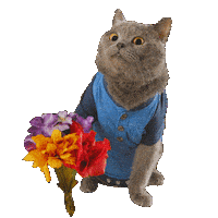 Prince Michael Love Sticker