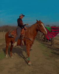 American Celebration GIF