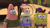 Kamp Koral GIF by SpongeBob SquarePants