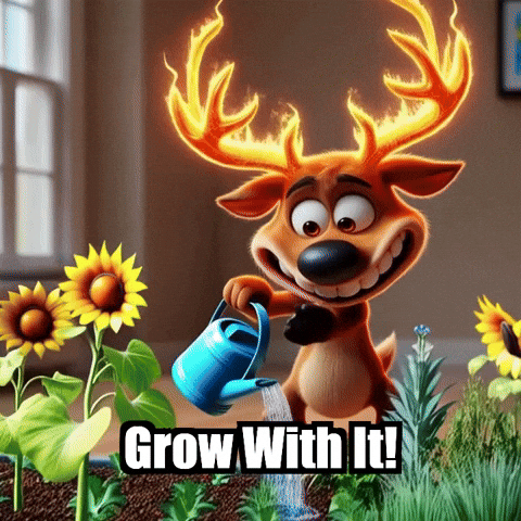 GIF by elkijahspark