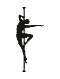 minorpoledancedresden poledance pd minor polefitness Sticker