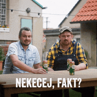 Starobrno_cz beer pivo Brno morava GIF