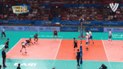 Celebrate Matt Anderson GIF by Volleyball World