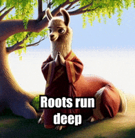 Wisdom GIF by dalaillamazen
