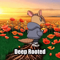 Stability GIF by Chillo Dillo