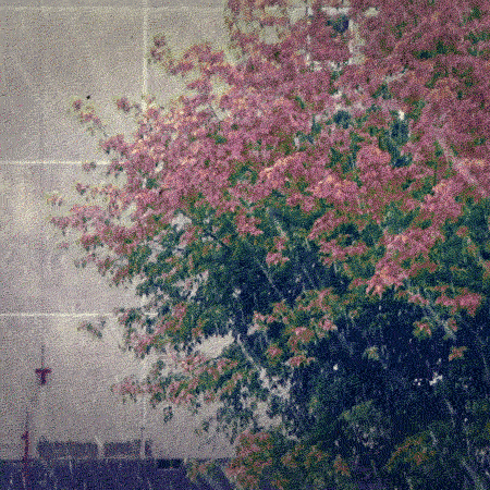 Art Design GIF