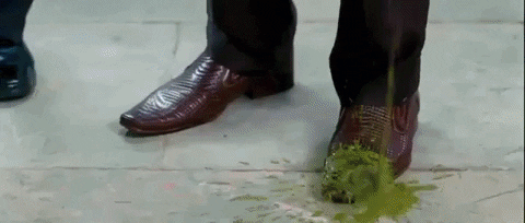 moulshree giphygifmaker 3 idiots GIF