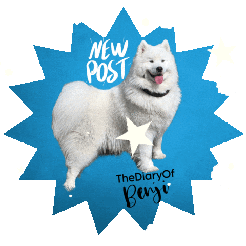 Dog Video Sticker