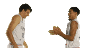 Basketball Basket Sticker by Lions de Genève
