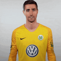 World Cup Football GIF by VfL Wolfsburg
