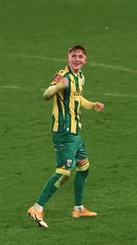 West Brom Wba GIF by West Bromwich Albion