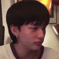Skz Straykids GIF