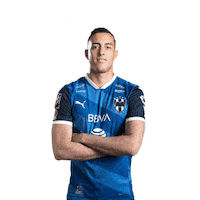 Monterrey Sticker by PUMA