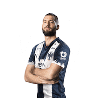 Monterrey Sticker by PUMA