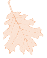 Falling Leaves Halloween Sticker by The Happy Planner