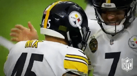Pittsburgh Steelers Football GIF by NFL