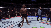 ufc 229 sport GIF by UFC