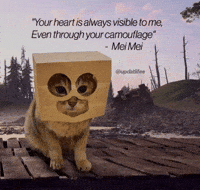 Mei Mei Cat GIF