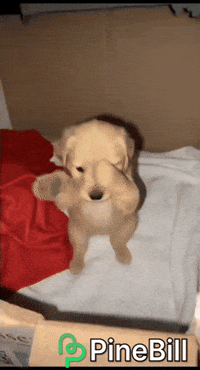 Dog Waving GIF by PineBill