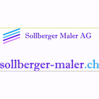 simeonsollberger schweiz politik bern sandra GIF