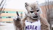Weber State GIF by Weber State University