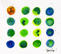 rainbow color GIF by Tyler Resty