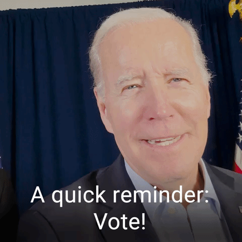 A quick reminder: Vote!