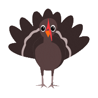 thanksgiving STICKER by imoji