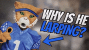 Kentucky Basketball GIF