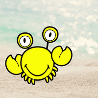 summer beach GIF by Smiley