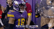 Minnesota Vikings Football GIF by NFL