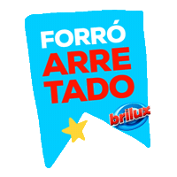 Festa Junina Forro Sticker by Brilux