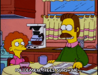 season 9 episode 20 GIF