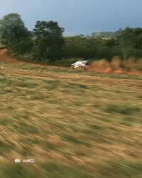 Driving Fast Car GIF by FIA World Rally Championship