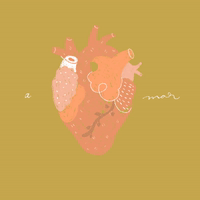 art illustration GIF