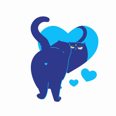 holiklimovich giphyupload love cat heart GIF