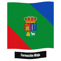 Castilla Y Leon Flag Sticker by Formación Ninja